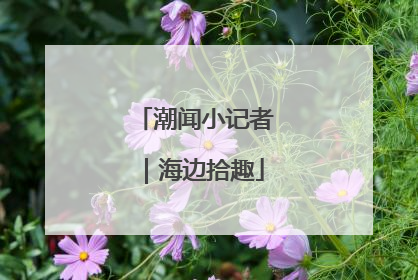 潮闻小记者｜海边拾趣